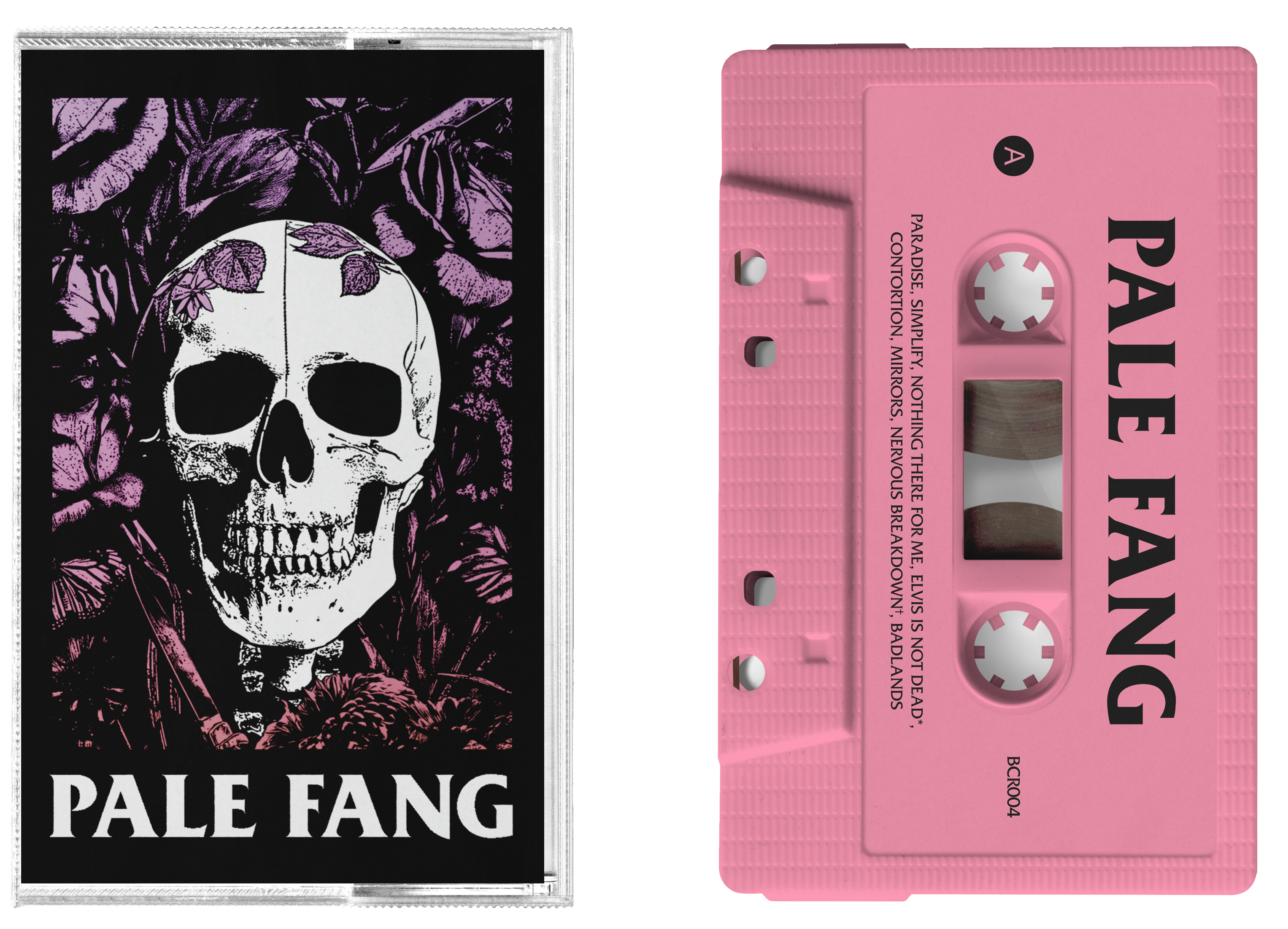 Pale Fang : Last Show